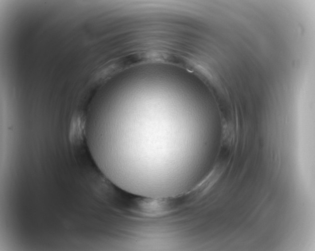 X0000088830142200706211821