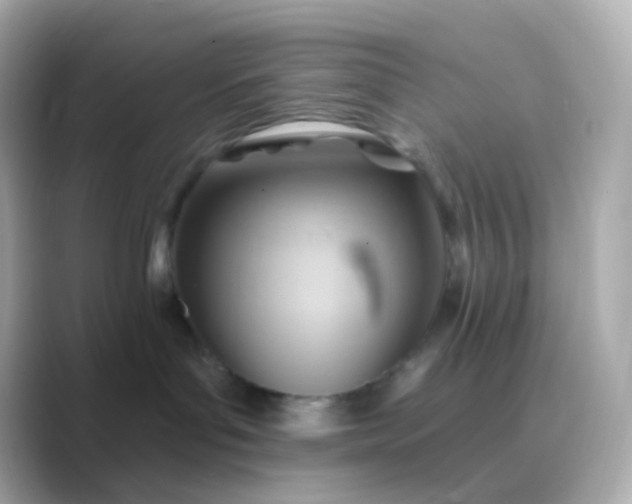 X0000088830143200706211821