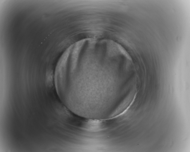 X0000088830144200706211821