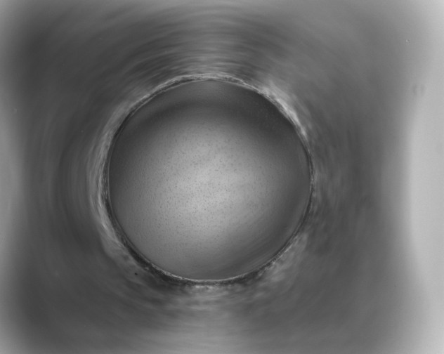 X0000088830145200706211821