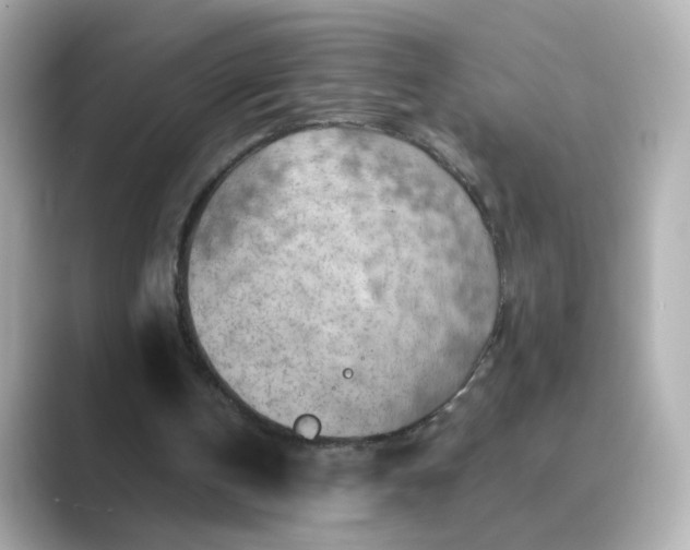 X0000088830146200706211821