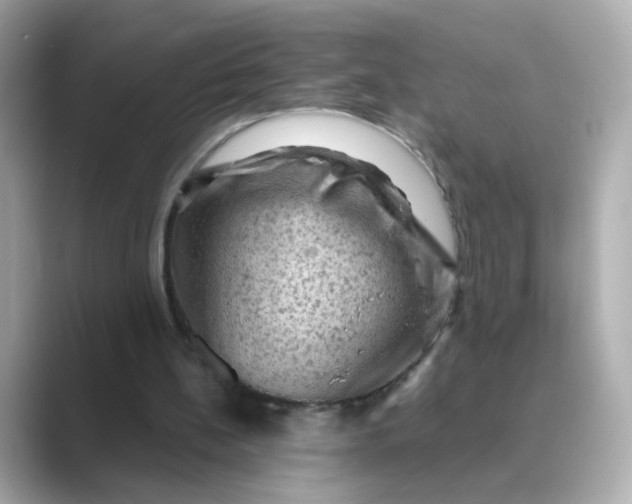 X0000088830148200706211821