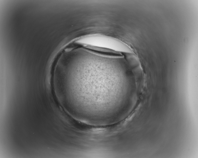 X0000088830150200706211821