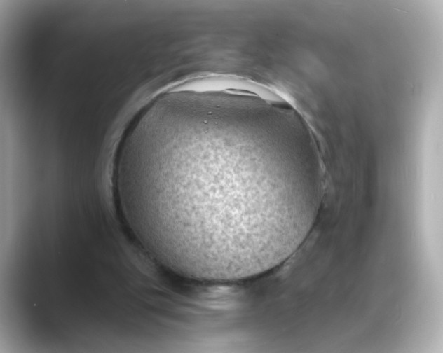 X0000088830151200706211821