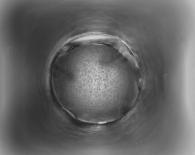 X0000088830152200706211821