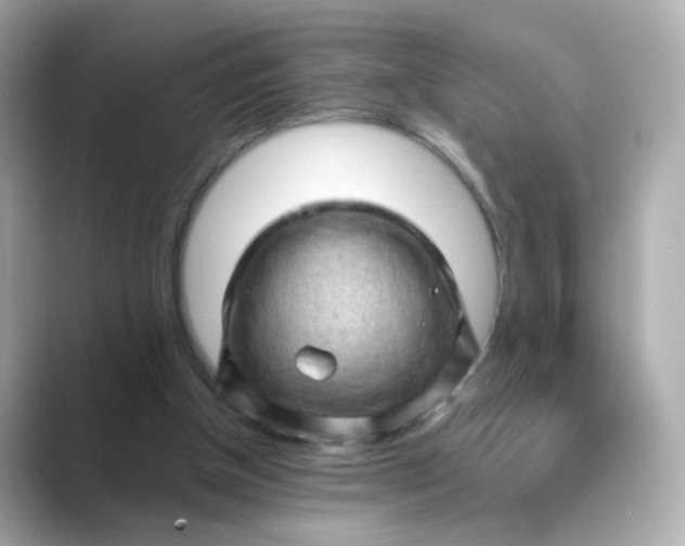 X0000088830154200706211821