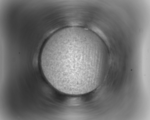 X0000088830155200706211821