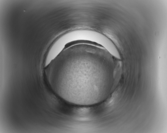 X0000088830156200706211821