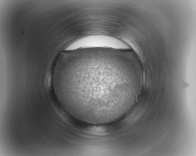 X0000088830157200706211821