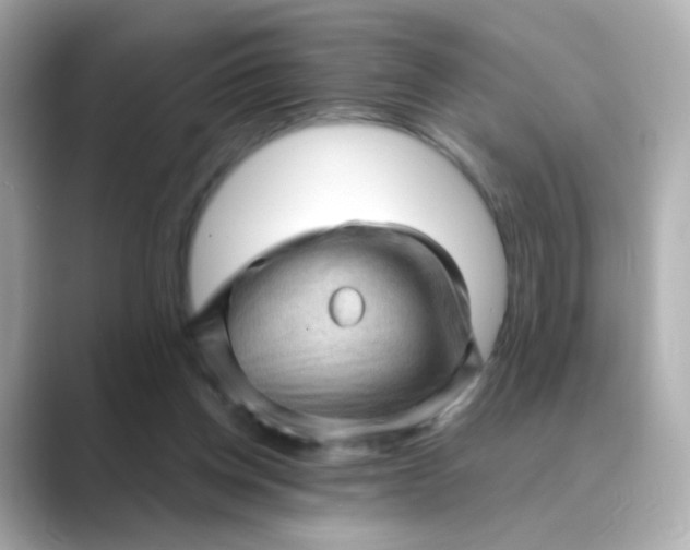 X0000088830158200706211821