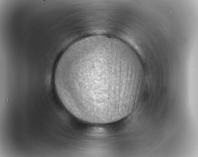 X0000088830159200706211821