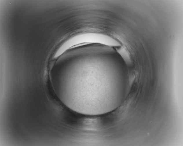 X0000088830160200706211821