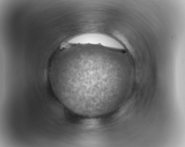 X0000088830161200706211821