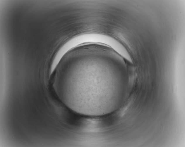 X0000088830164200706211821