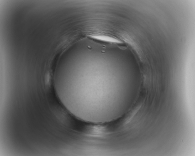 X0000088830165200706211821