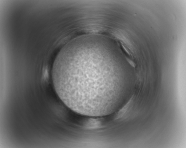 X0000088830166200706211821