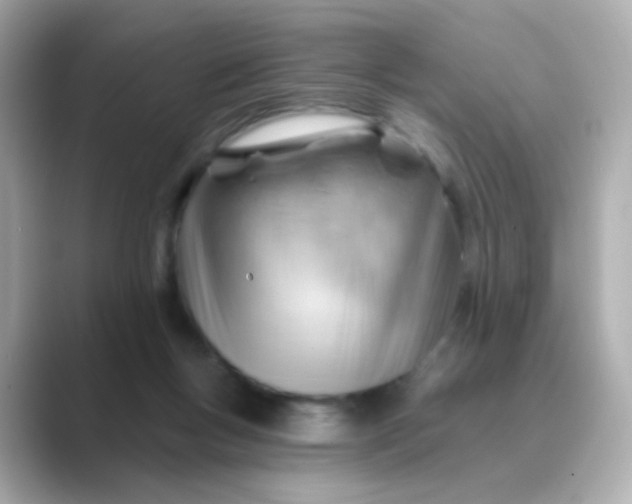 X0000088830167200706211821