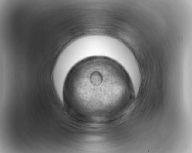 X0000088830168200706211821