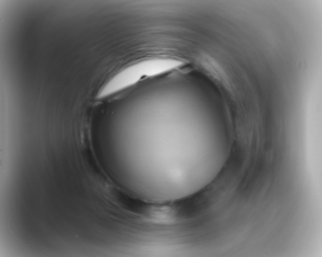 X0000088830169200706211821