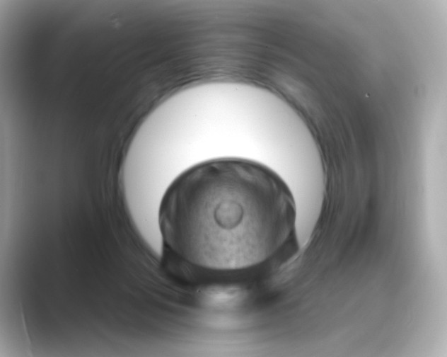 X0000088830172200706211821