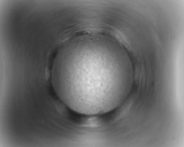 X0000088830173200706211821