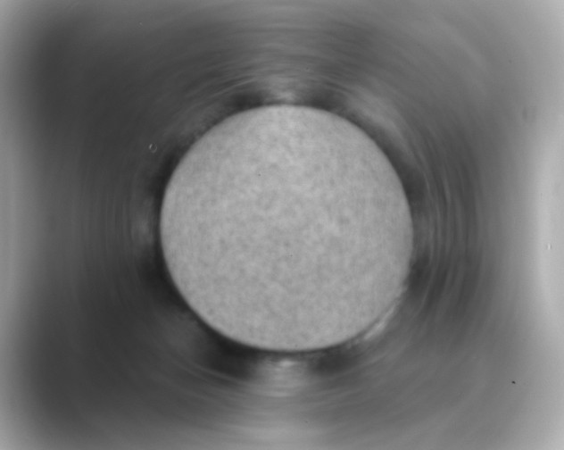 X0000088830174200706211821