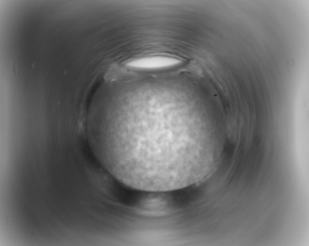 X0000088830175200706211821