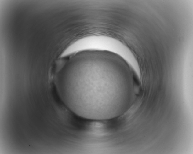 X0000088830176200706211821