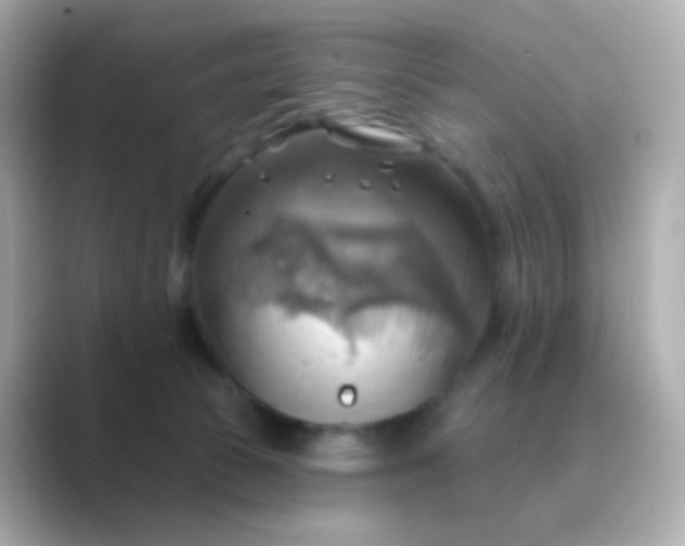 X0000088830177200706211821