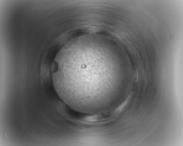 X0000088830178200706211821