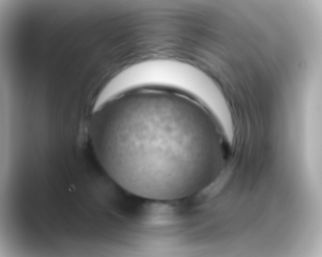 X0000088830180200706211821