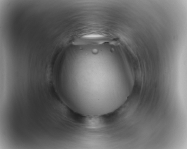 X0000088830181200706211821