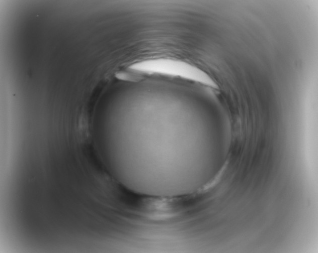 X0000088830182200706211821