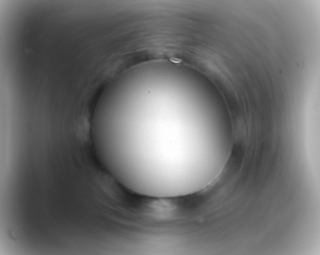 X0000088830183200706211821