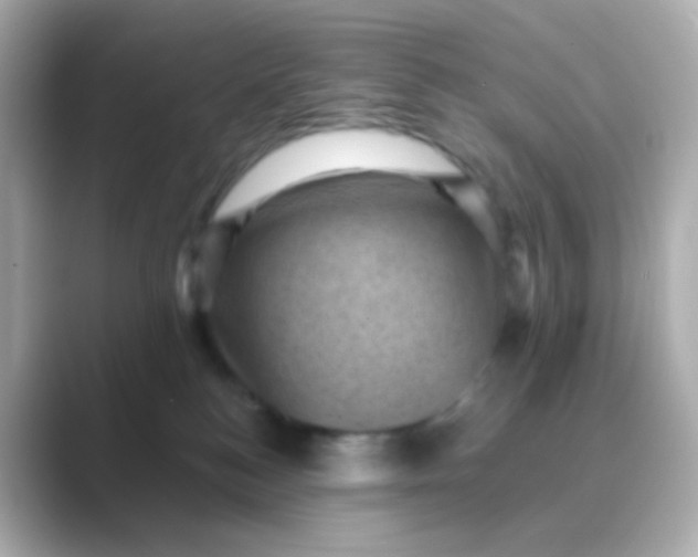 X0000088830184200706211821