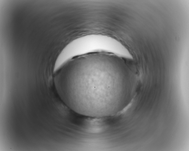 X0000088830186200706211821