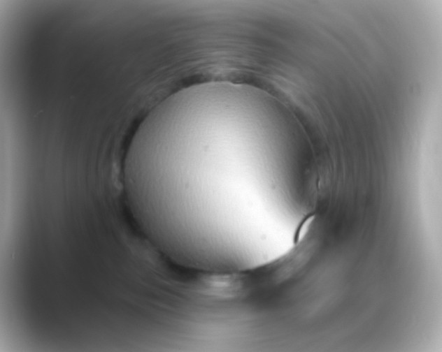 X0000088830187200706211821