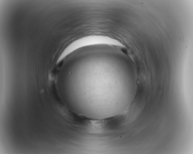 X0000088830188200706211821