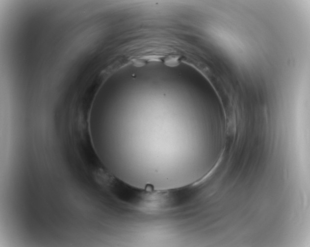 X0000088830191200706211821