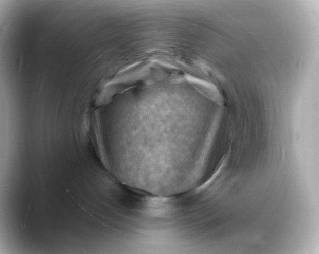 X0000088830192200706211821