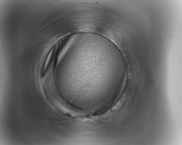 X0000088830193200706211821