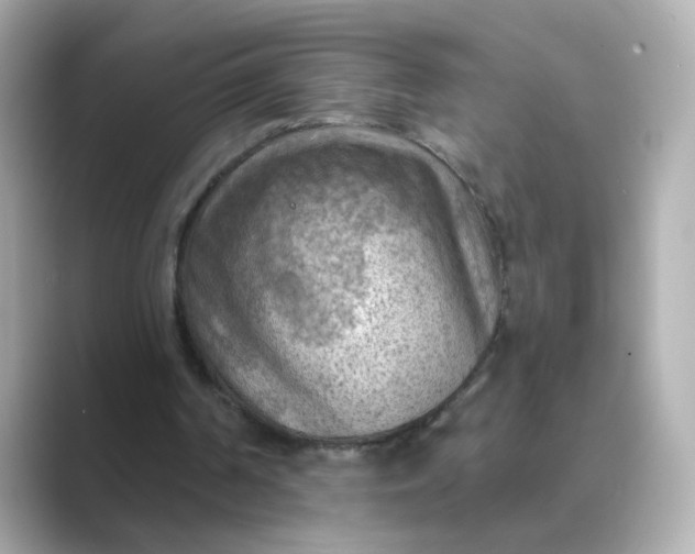 X0000088830194200706211821