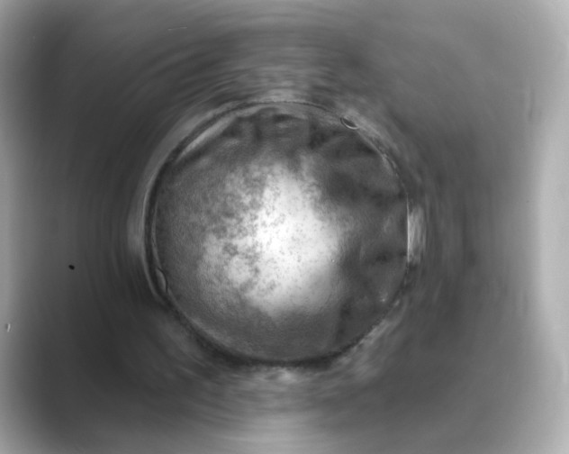 X0000088830195200706211821