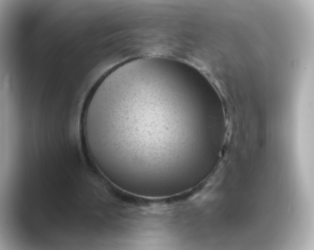 X0000088830196200706211821