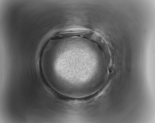 X0000088830197200706211821