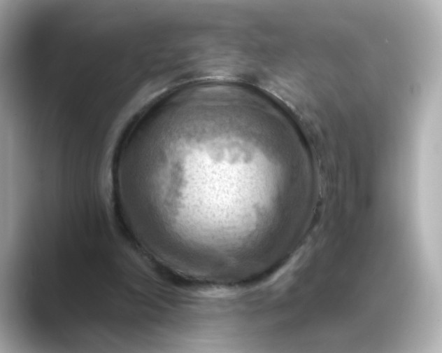 X0000088830198200706211821