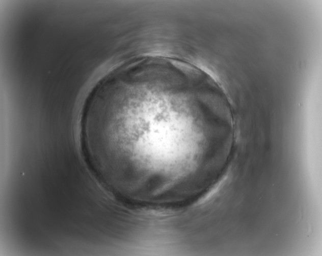 X0000088830199200706211821