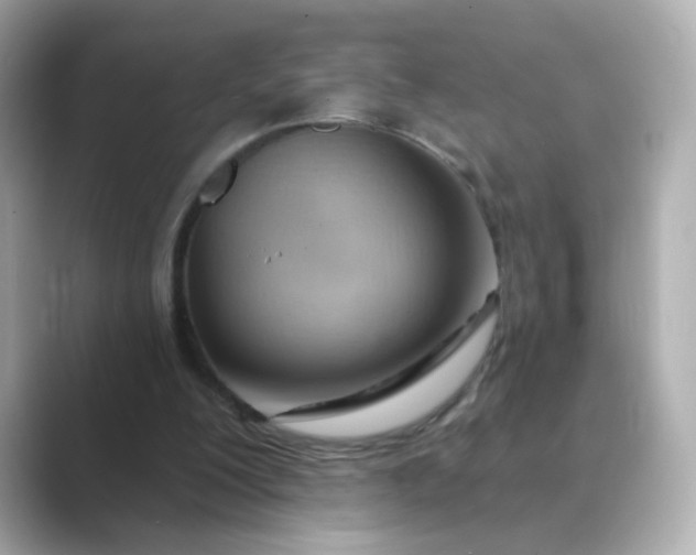 X0000088830200200706211821