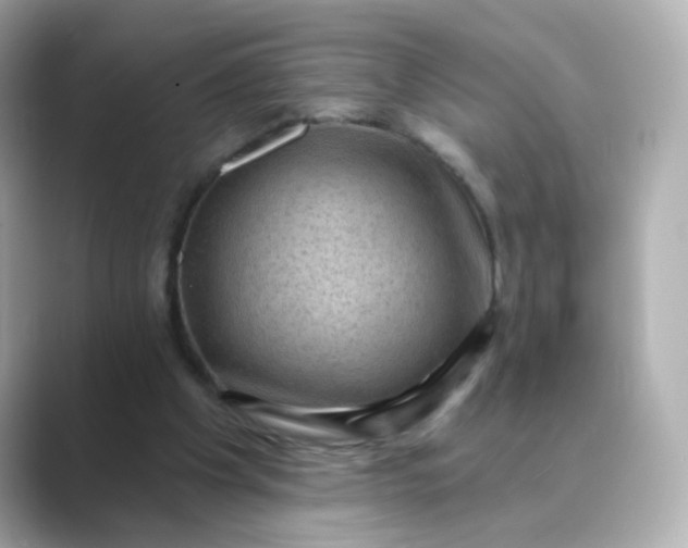 X0000088830201200706211821