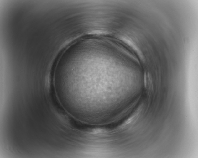 X0000088830204200706211821